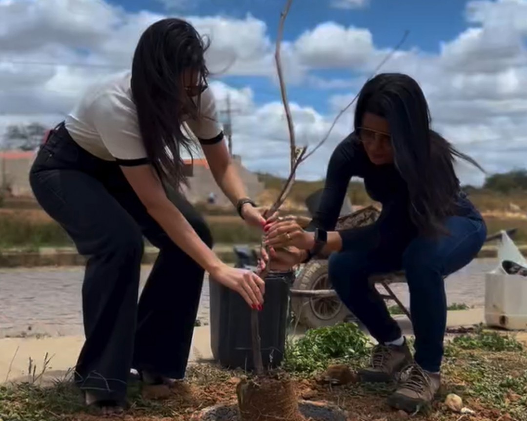 Prefeitura promove arborização da Avenida dos Ipês