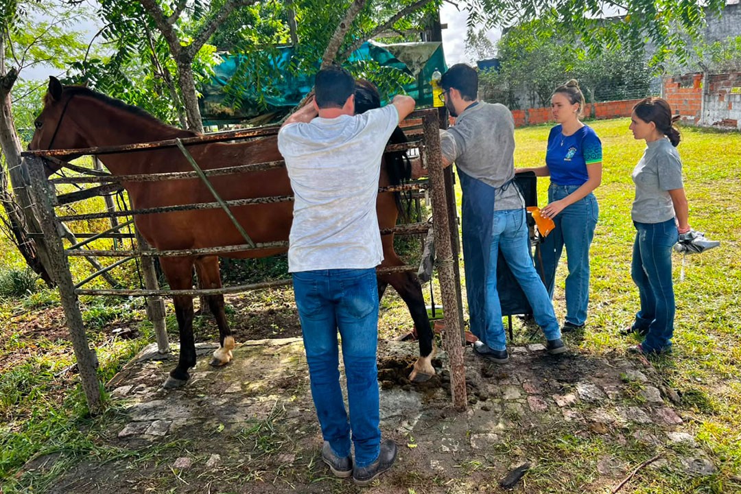 Agricultura leva dia de campo aos povoados São Gonçalo e Lagoa do Chocalho