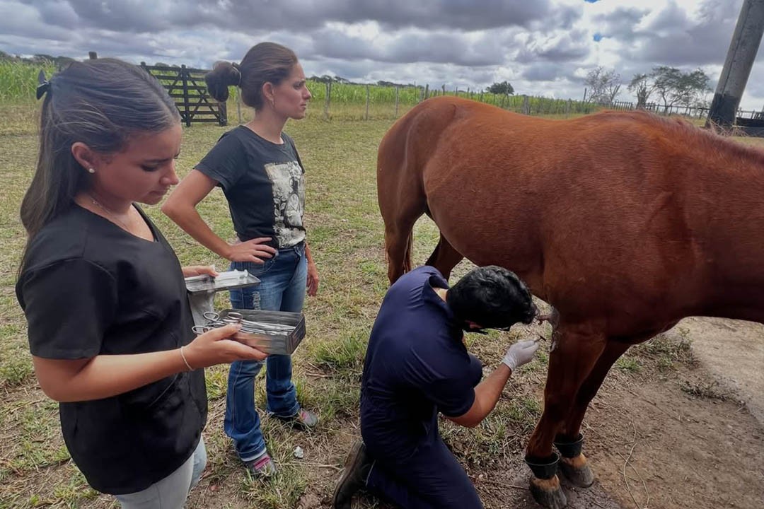 Gestão em Campo leva atendimento veterinário a povoados de Glória
