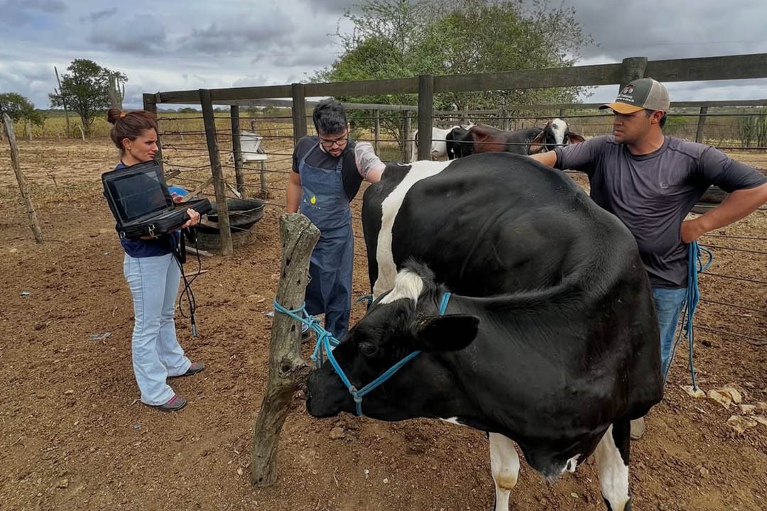 Gestão em Campo leva atendimento veterinário a povoados