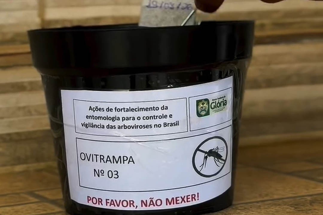 Glória implanta Programa das Ovitrampas para monitoramento do Aedes aegypti