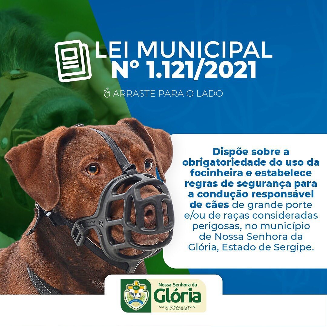 Lei da obrigatoriedade do uso da focinheira é sancionada